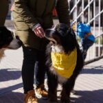 M. GARUCKO nuotraukos