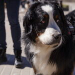 M. GARUCKO nuotraukos