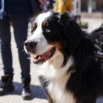 M. GARUCKO nuotraukos