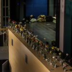 I. STULGAITĖS nuotraukos