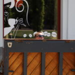 I. STULGAITĖS nuotraukos