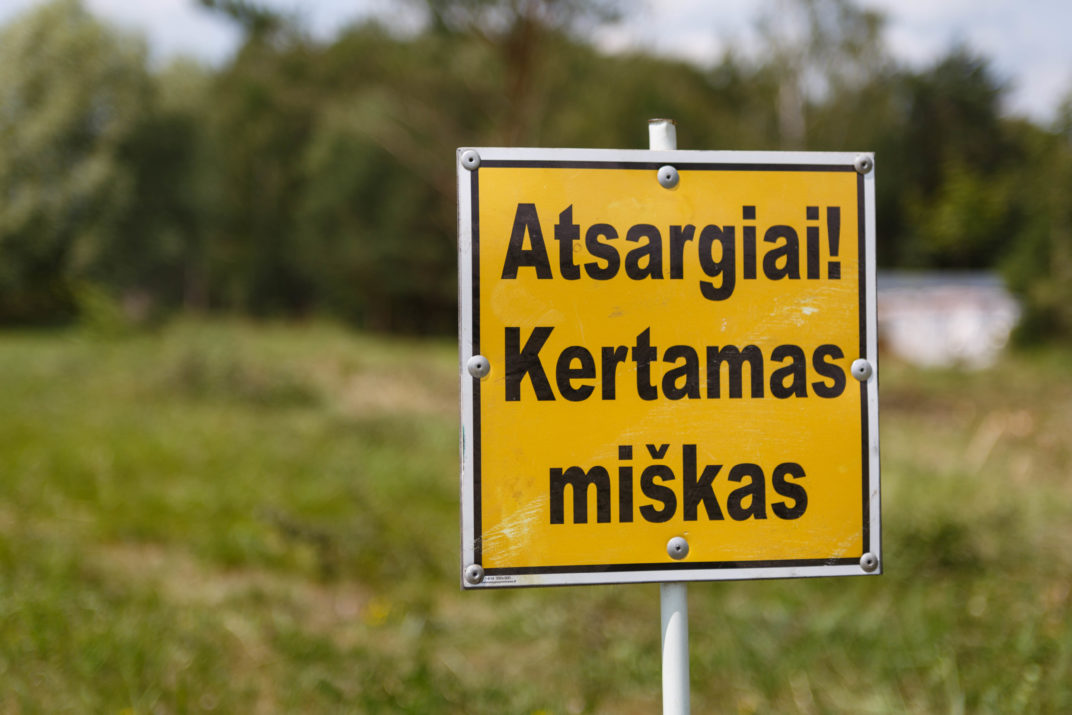 Būsimos Šiaurinės gatvės per Rožyną tiesimo nesustabdė nei mistinis šermuonėlis, nei vienas paskui kitą į Aplinkos ministeriją plūstantys gyventojų skundai. Krūmais ir medžiais apžėlusiame miesto pakraštyje jau zvimbia pjūklai ir burzgia kelininkų technika.