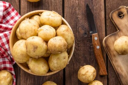 Sakoma, kad bulvės – „antroji lietuvių duona“. Jos yra pigus ir maistingas produktas. Bulves valgo ir didelis, ir mažas. Tik retas žino, kad bulvės ne tik tukina, kaip įprasta manyti, bet ir turi nemažai gydomųjų savybių.