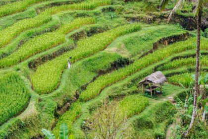 Ar kada svajojote apie atostogas, kurios atrodytų tarsi iš kino filmo? Visame pasaulyje yra daugybė vietų, kurias aplankyti inspiruoja žinomos kino juostos ar populiariausi visų laikų televizijos serialai. Vienus tai paskatina ieškoti naujų potyrių, kitus – aplankyti konkrečias vietoves, matytas kino ekrane.