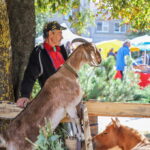 I. STULGAITĖS-KRIUKIENĖS nuotraukos