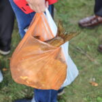 I. STULGAITĖS-KRIUKIENĖS nuotraukos