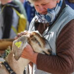 I. STULGAITĖS-KRIUKIENĖS nuotraukos