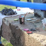 I. STULGAITĖS-KRIUKIENĖS nuotraukos