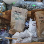 I. STULGAITĖS-KRIUKIENĖS nuotraukos