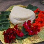 I. STULGAITĖS-KRIUKIENĖS nuotraukos