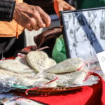 I. STULGAITĖS-KRIUKIENĖS nuotraukos