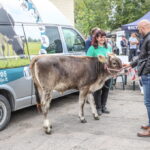 I. STULGAITĖS-KRIUKIENĖS nuotraukos