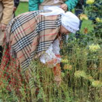 I. STULGAITĖS-KRIUKIENĖS nuotraukos