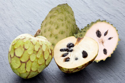 Anona yra ne tik skanus, bet ir sveikas vaisius. Jį ajurvedos specialistai naudoja gydyti įvairioms ligoms – pradedant skrandžio negalavimais, baigiant vėžio profilaktika.