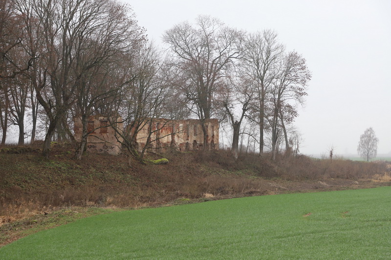 Prie Kuršelės būta didelio Kuršių dvaro, iš kurio liko tik griuvėsiai. I. STULGAITĖS-KRIUKIENĖS nuotr.