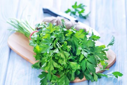 Kankina artritas, sąnarių skausmai? Liaudies medicinos žinovai siūlo į pagalbą pasitelkti natūralias priemones.