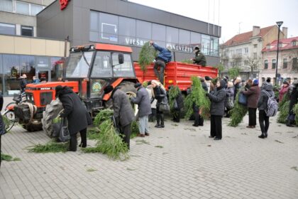 Panevėžio centre, kaip ir kasmet, paskutinę savaitę prieš Kalėdas pakvips eglių šakomis. Šįkart jų atvežę miškininkai turės ir kitokių dovanų namams dekoruoti.