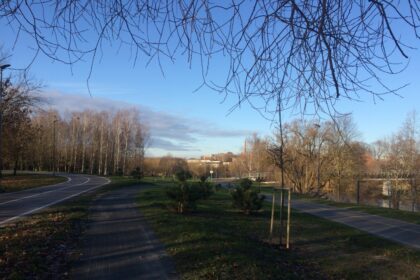 Panevėžio mieste daugėja naujų želdinių. Vieni sodinami siekiant puošti viešąsias erdves, kiti – įgyvendinant investicinius infrastruktūros projektus.