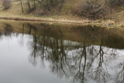Pora sausringų metų iš eilės už galvos vertė griebtis ne tik ūkininkus – kentėjo nusekusios upės, daugelyje šulinių dingo vanduo. Šiuo metu situacija gerėja, tačiau neaišku, ar pastarųjų metų scenarijus nepasikartos ir šiemet.