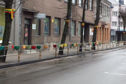 Ne vienas miestas turi gatvę Vasario 16-osios vardu. Kertanti Panevėžio centrą ji kartu su Ramygalos ir Elektros gatvėmis nuo pat miesto susikūrimo sudarė jo urbanistinį pagrindą. Seniau jos turėjo kitus pavadinimus – Vasario 16-osios gatvė pagal iš jos išeinančio kelio kryptį vadinta Šeduvos ir tik 1921 m. pavadinta Lietuvos atkūrimo dienai įamžinti.