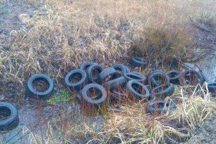 Nors pavasarinis padangų keitimo sezonas dar neprasidėjo, praėjusį savaitgalį skirtingose vietose netoli Panevėžio išverstos net kelios tonos guminių senienų.