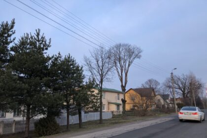 Panevėžio miesto savivaldybė tęsia gerąją praktiką ir antrąkart perka gatvių remonto paslaugas 3 metams. Paskelbtas viešųjų pirkimų konkursas, rangovų pasiūlymų laukiama iki vasario 27 d.