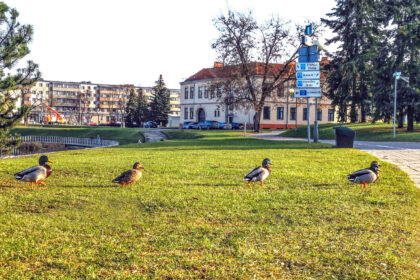 Praėjusi kalendorinė žiema Lietuvoje buvo šilčiausia per visą meteorologinių stebėjimų laikotarpį, pirmadienį paskelbė Lietuvos hidrometeorologijos tarnyba.