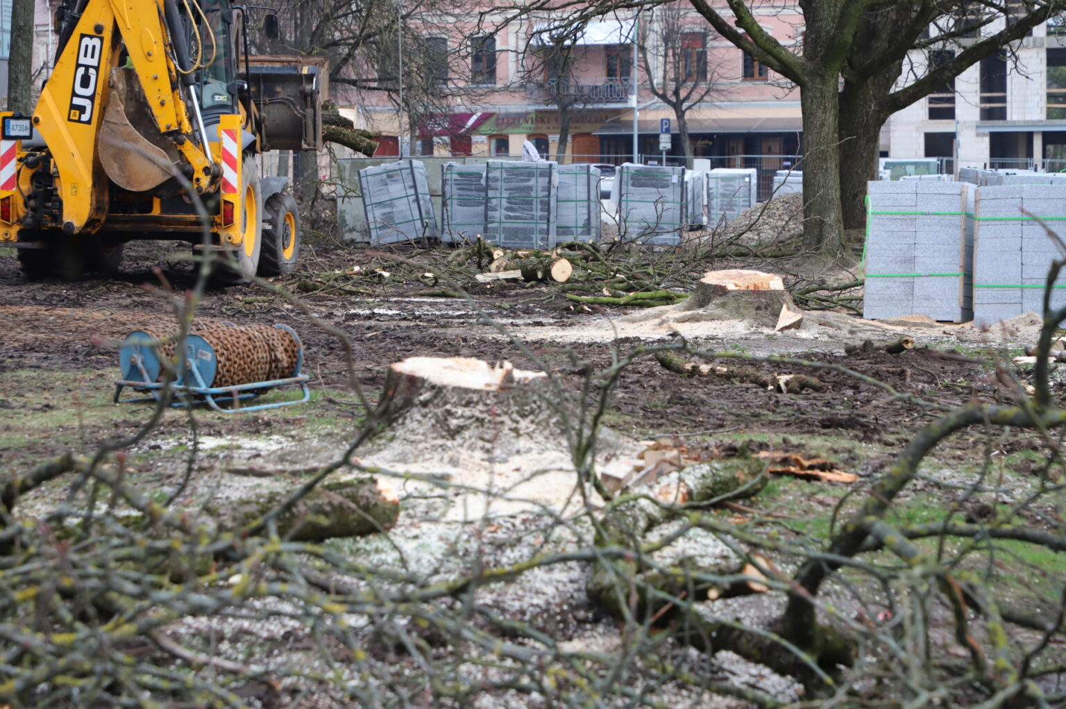 Rekonstruojamoje Panevėžio Laisvės aištėje šalinami dar keli medžiai. Kaip teigiama Savivaldybės pranešime, želdiniai performuojami po ekspertų atliktų dviejų detalių tyrimų.