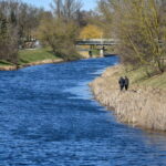 Karantinas greičiausiai bus pratęstas ilgesniam laikui negu numatyta dabar, teigia sveikatos apsaugos ministras.