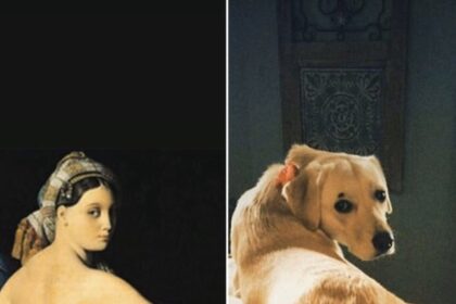 Los Andželo „Getty“ muziejus pakvietė nuo karantino pavargusius žmones pamėginti atkurti savo mylimus meno kūrinius namuose tik su turimomis priemonėmis. Štai rezultatas, kuris nepaliks abejingų.