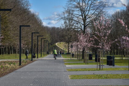 Šiluma nelepinantį pavasarį Panevėžys vis tiek puošiasi žiedais.