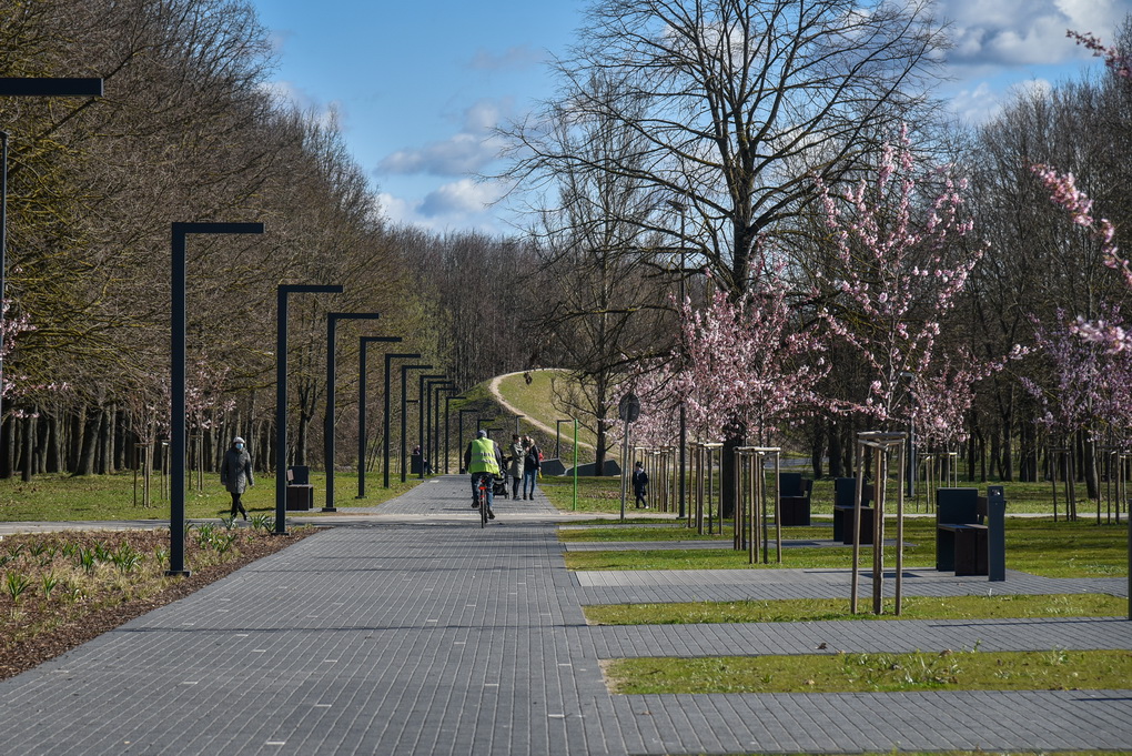 Šiluma nelepinantį pavasarį Panevėžys vis tiek puošiasi žiedais.
