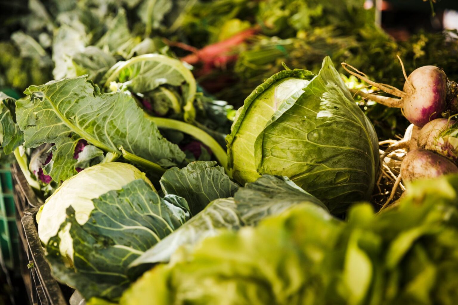 Dėl karantino duris užvėrus maitinimo įstaigoms, darželiams bei mokykloms, ūkininkai nebeišmano, ką daryti su savo išauginta produkcija. Šimtai tonų įvairiausių daržovių iš sandėlių greičiausiai keliaus ne ant stalų, o bus sunaikintos. Daržovių augintojai pripažįsta, kad derlių naikinti vis dar nekyla rankos, tačiau jo realizuoti nebesitiki.