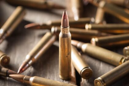 Panevėžio pašonėje, Dembavoje, veikiantis karinis dalinys antradienį, apie 11.30 val., sulaukė atvykėlio, atnešusio šovinių.