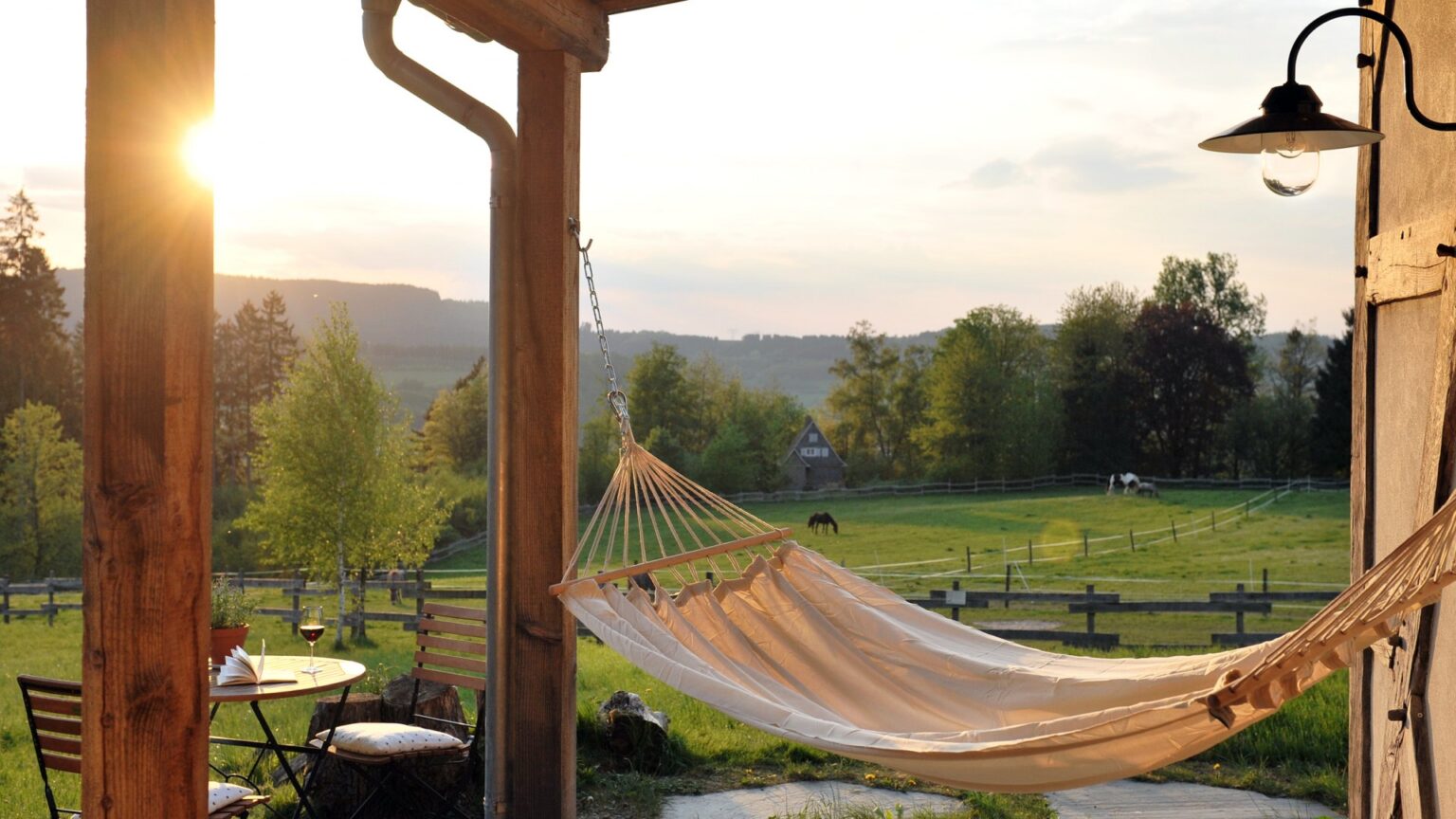 Per karantiną beveik visiškai sustojęs kaimo turizmo verslas vasarą sparčiai atsigauna, todėl šie metai sodyboms finansiškai neturėtų būti prastesni nei įprasta, sako Lietuvos kaimo turizmo asociacijos vadovė.