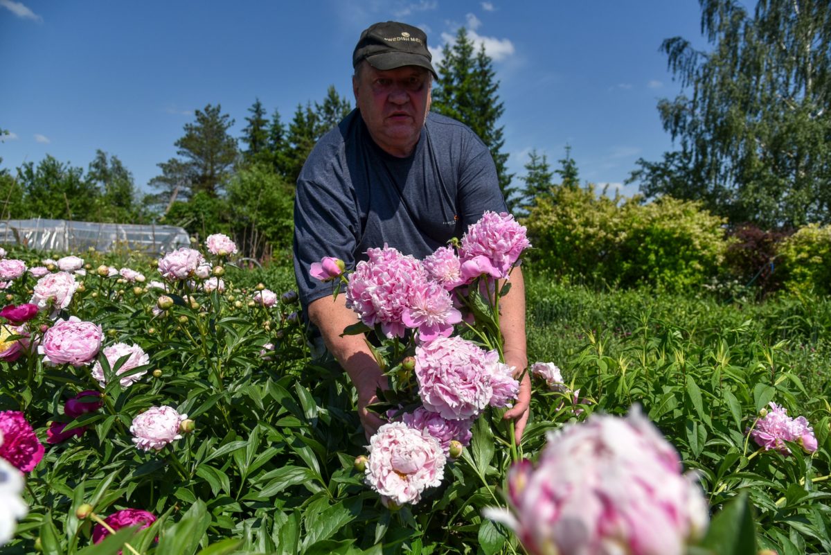 Panevėžiečio A. Gražio valdos – tikras botanikos sodas, tik čia patekti gali ne visi smalsuoliai. P. Židonio nuotr.