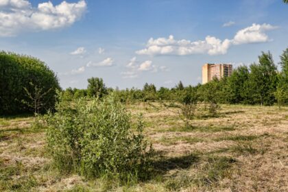 Panevėžio miesto savivaldybė su UAB „Panprojektas“ miesto bendruomenei pristatė būsimojo Kniaudiškių parko viziją. Parkui kurti numatyta 7,7 ha teritorija tarp Molainių, Žygeivių ir V. Alanto gatvių. Ši žalioji zona bus pritaikyta poilsio ir rekreacijos reikmėms.