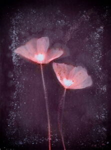 Aušra Kropienė. Švytėjimas. Iš serijos Liumenograma. 2019 metai