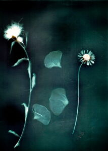 Mėta Kropaitė. Švytėjimas. Iš serijos Liumenograma. 2018 metai