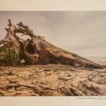 UŽDAROS TERITORIJOS. Domantas Umbrasas.