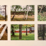 UŽDAROS TERITORIJOS. Evgenia Levin.