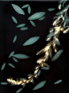 Žilvinas Kropas. Švytėjimas. Iš serijos Liumenograma. 2018 metai