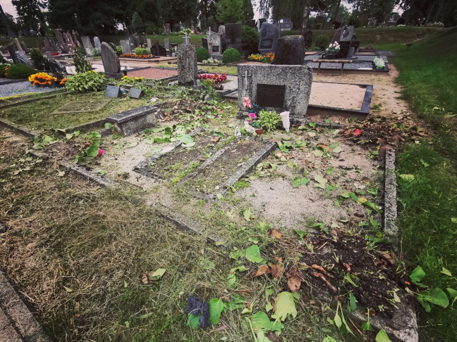 Panevėžio kapinėse Savivaldybės įmonei pradėjus šienauti apleistas kapavietes, sujudo kaimyninių kapų prižiūrėtojai. Žmones apstulbino, kad tvarkant vienas, kitos liko apdrabstytos žole.