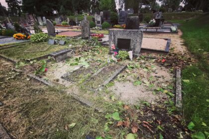 Panevėžio kapinėse Savivaldybės įmonei pradėjus šienauti apleistas kapavietes, sujudo kaimyninių kapų prižiūrėtojai. Žmones apstulbino, kad tvarkant vienas, kitos liko apdrabstytos žole.