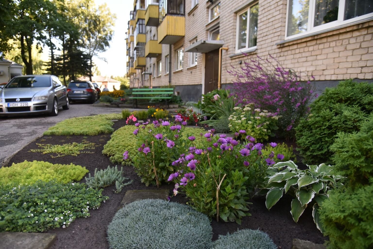 Panevėžio miesto savivaldybės gražiausiai tvarkomos aplinkos konkurso komisija išrinko šiemečius laimėtojus. Laimėtojai buvo renkami 3 grupėse – daugiabučių, įstaigų ir įmonių bei individualių namų.