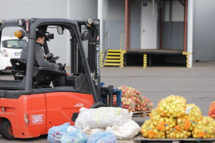Parduotuvėse obuolių kainos pasiekė neregėtas aukštumas, o sodininkai derlių verčia sultimis. Jau nuo praėjusio savaitgalio Panevėžio sulčių spaudyklose – tikra apgultis, nors didžiojo antplūdžio dar laukiama. Kaip juokauja sulčių spaudėjai, kol miškuose kaip pašėlę dygsta baravykai, darbai sode atidėliojami kiek įmanoma ilgiau.