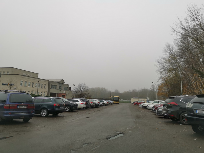 Smėlynės gatvė prie Draugystės stadiono_I. STULGAITĖS-KRIUKIENĖS nuotr.