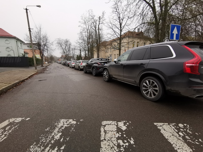 Topolių gatvė. I. STULGAITĖS-KRIUKIENĖS nuotr.