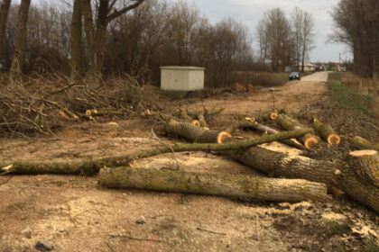 Kone avarinės būklės Kėdainių gatvės rekonstrukcija į modernią, su pėsčiųjų ir dviračių takais kai kuriuos panevėžiečius privertė stvertis už galvos.