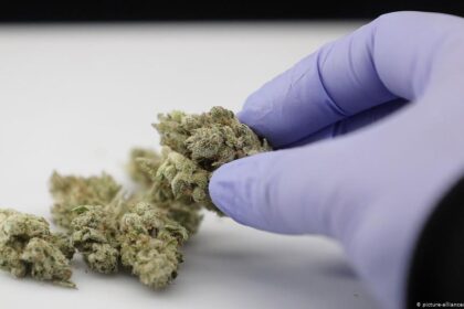 Daugiau nei ketvirtadalis parlamentarų siūlo dekriminalizuoti nedidelio narkotikų kiekio turėjimą be tikslo platinti ir už tai numatyti baudą iki 100 eurų.